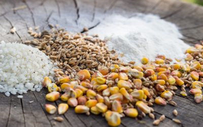 Diverse Wheat Flour Products in India