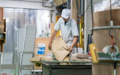 Wheat Flour Industry in India: A Booming Market